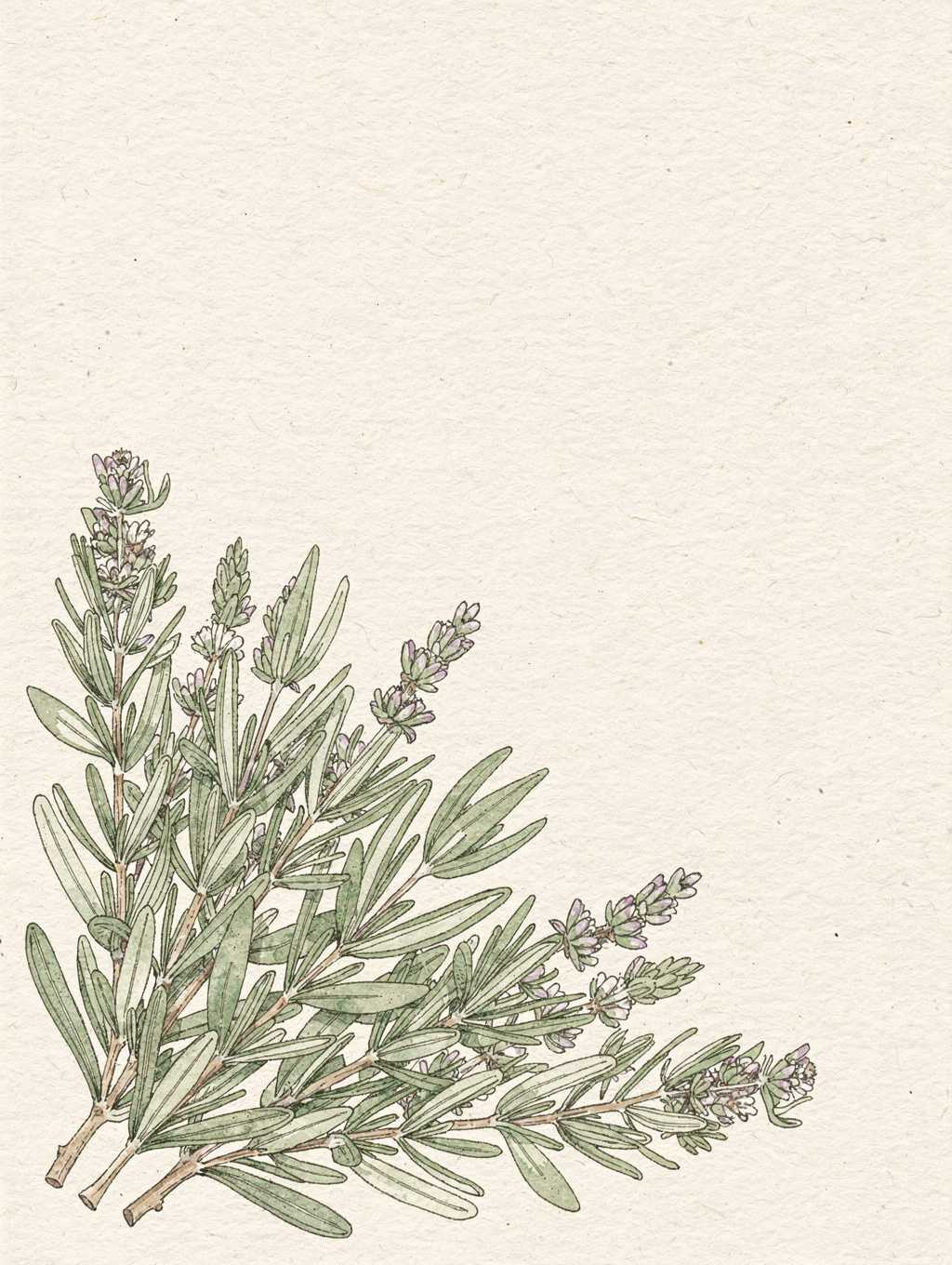 Botanical Detail